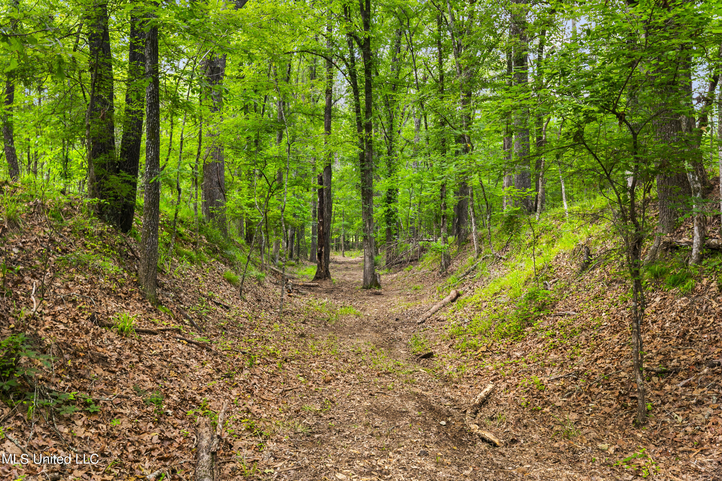 Spring Road Flora, MS 39071 - Photo 25 of 44 Spring Rd-24