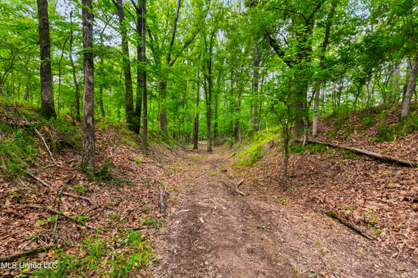 $1,210,000 | Spring Road, Flora, MS 39071