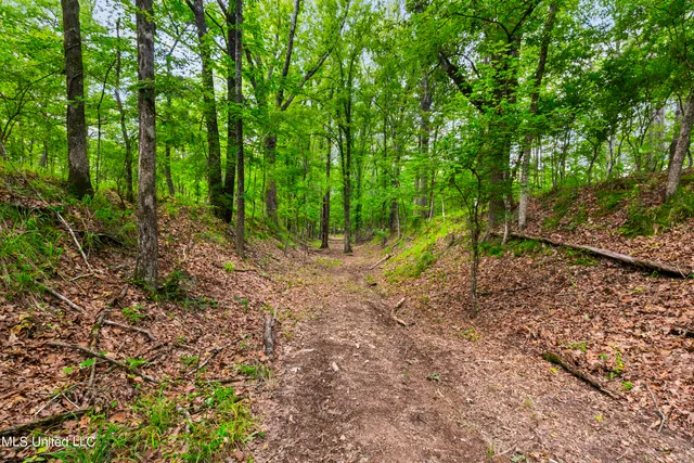 $1,210,000 | Spring Road, Flora, MS 39071
