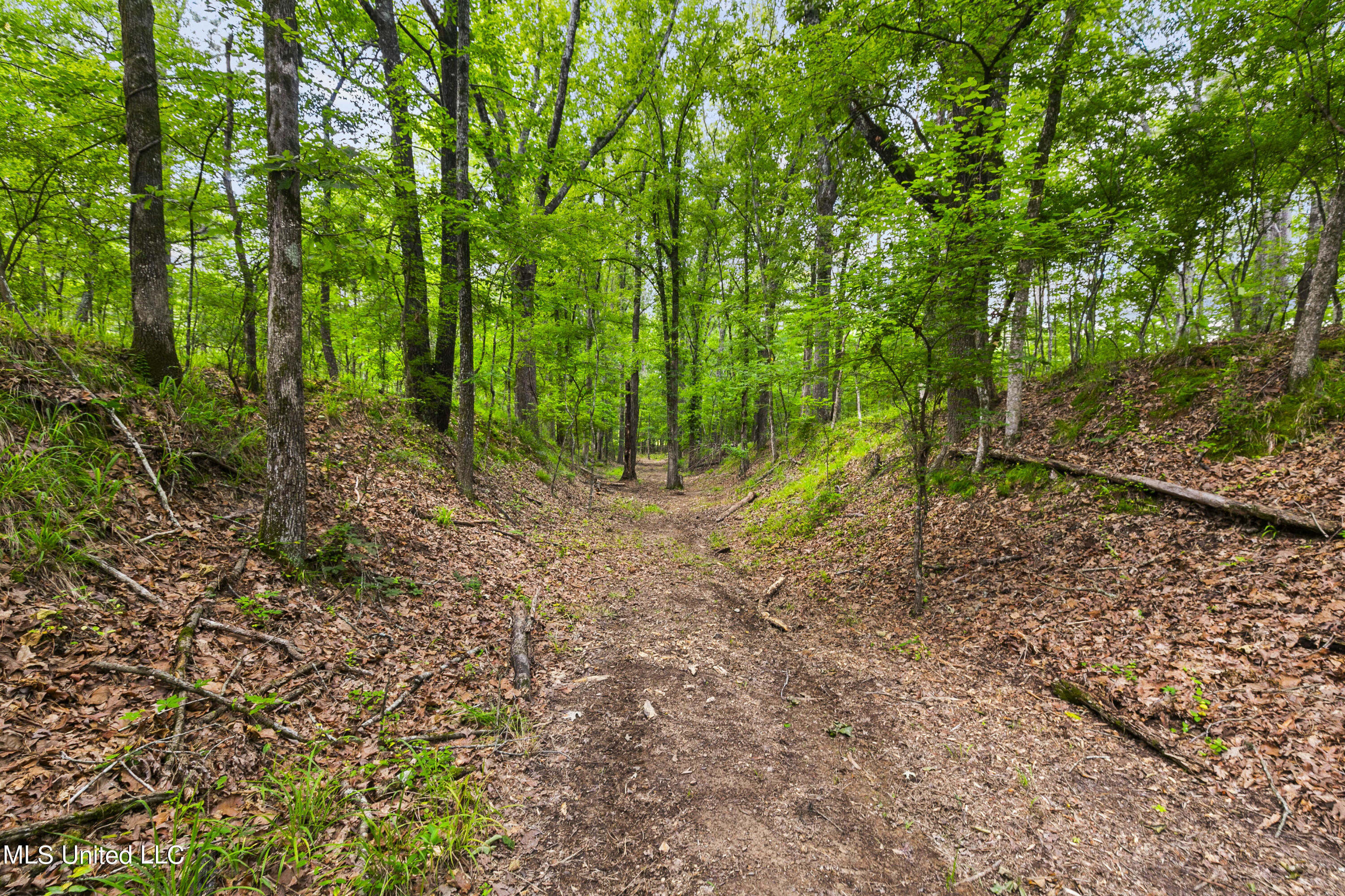 Spring Road Flora, MS 39071 - Photo 26 of 44 Spring Rd-25