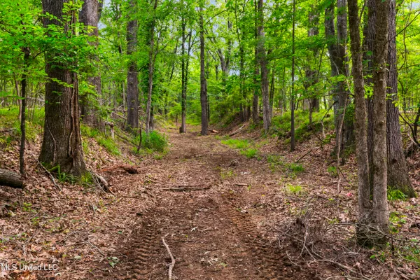 $1,210,000 | Spring Road, Flora, MS 39071