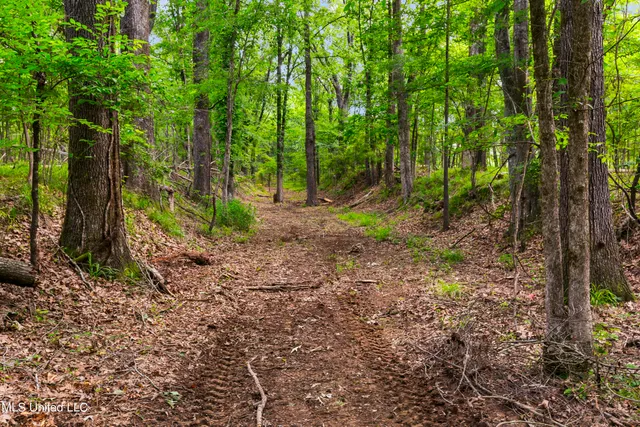 $1,210,000 | Spring Road, Flora, MS 39071