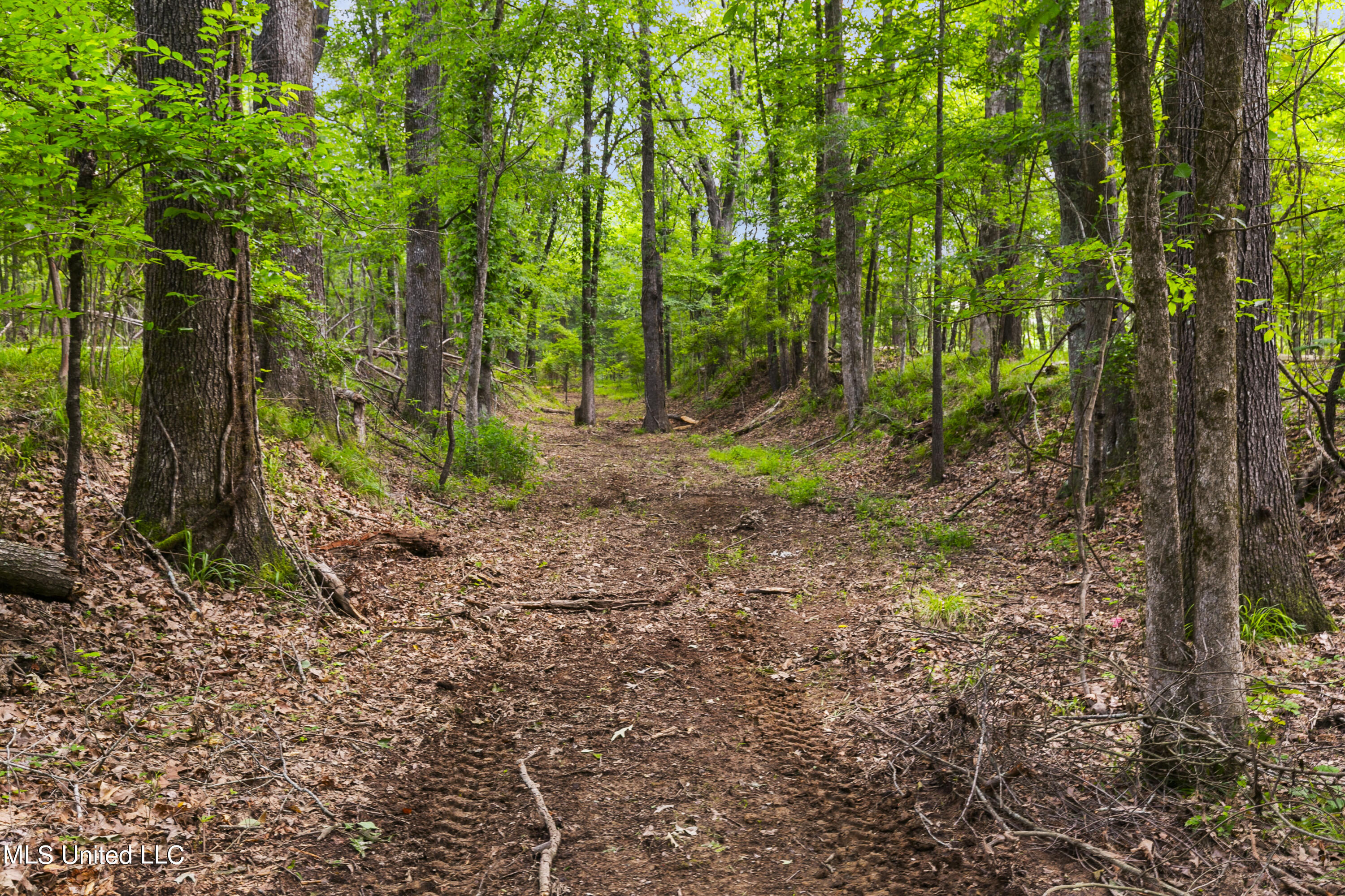 Spring Road Flora, MS 39071 - Photo 27 of 44 Spring Rd-26
