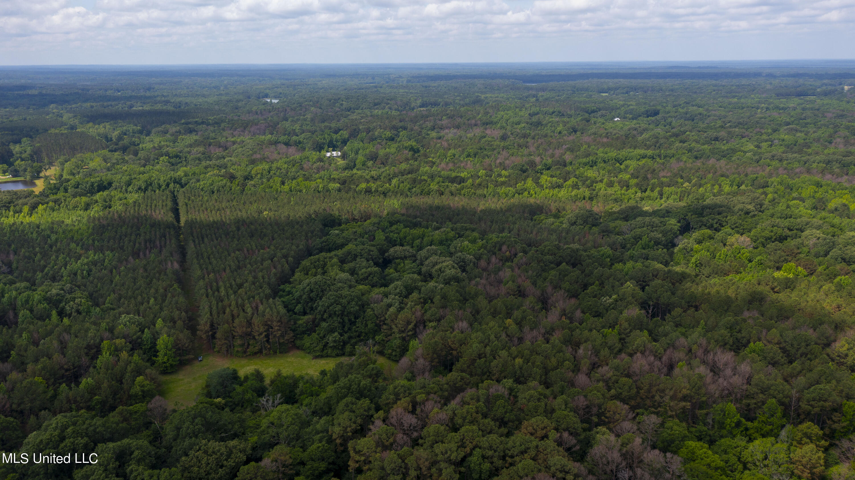 Spring Road Flora, MS 39071 - Photo 29 of 44 Spring Rd-28