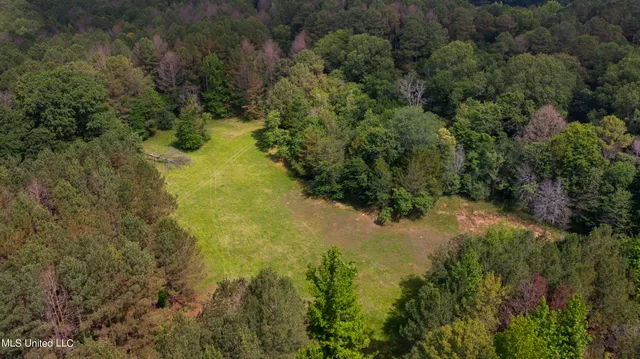 $1,210,000 | Spring Road, Flora, MS 39071