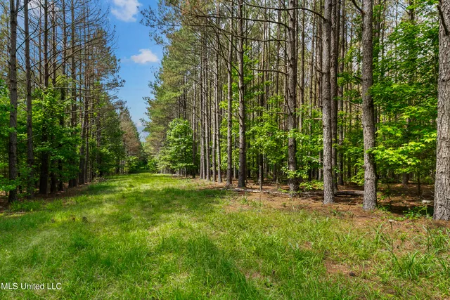 $1,210,000 | Spring Road, Flora, MS 39071