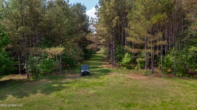$1,210,000 | Spring Road, Flora, MS 39071