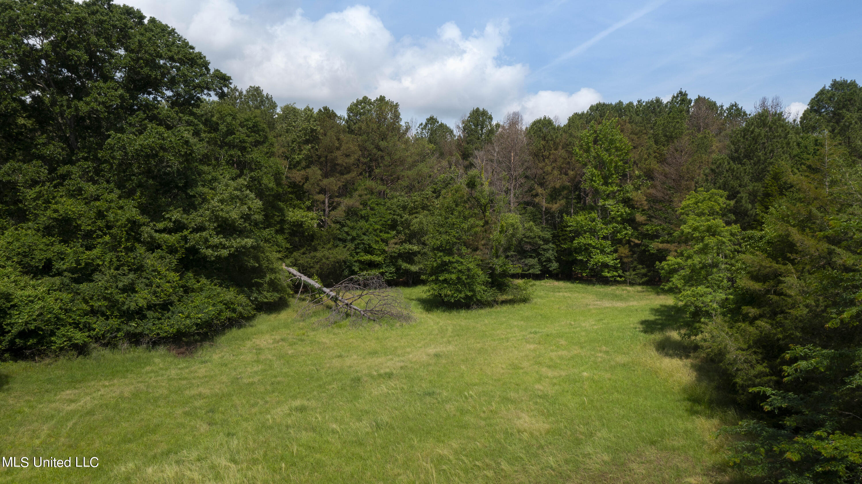 Spring Road Flora, MS 39071 - Photo 32 of 44 Spring Rd-31