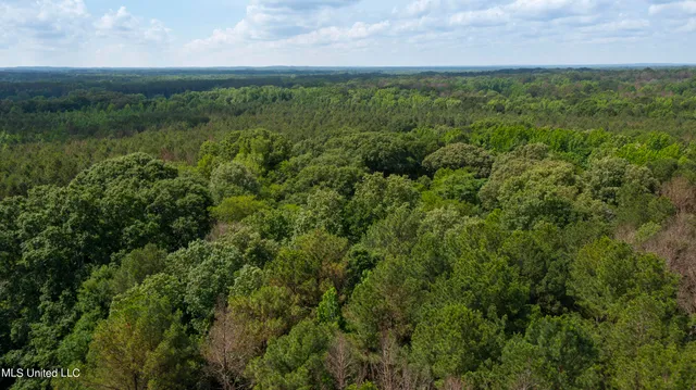 $1,210,000 | Spring Road, Flora, MS 39071