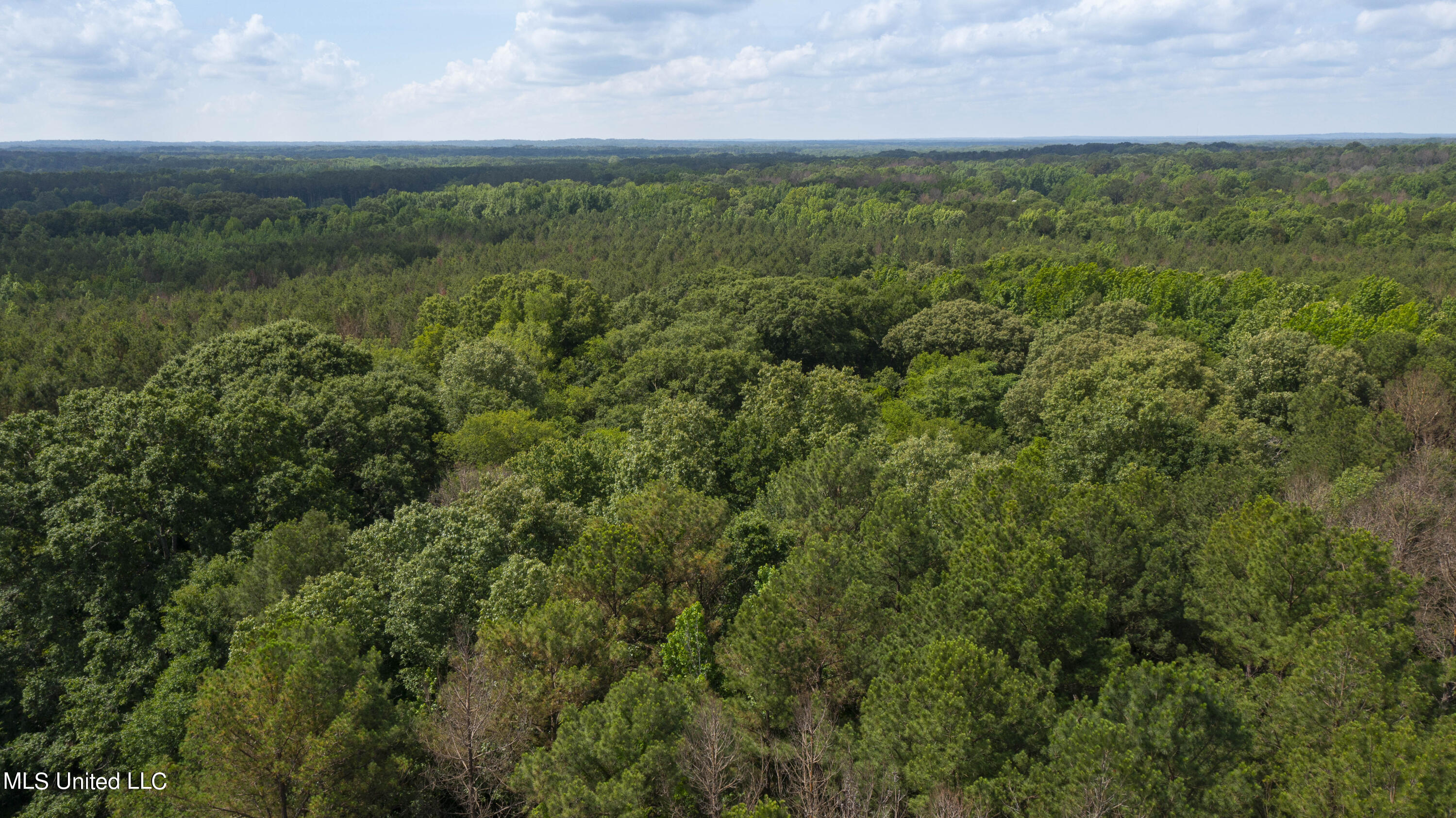 Spring Road Flora, MS 39071 - Photo 33 of 44 Spring Rd-32