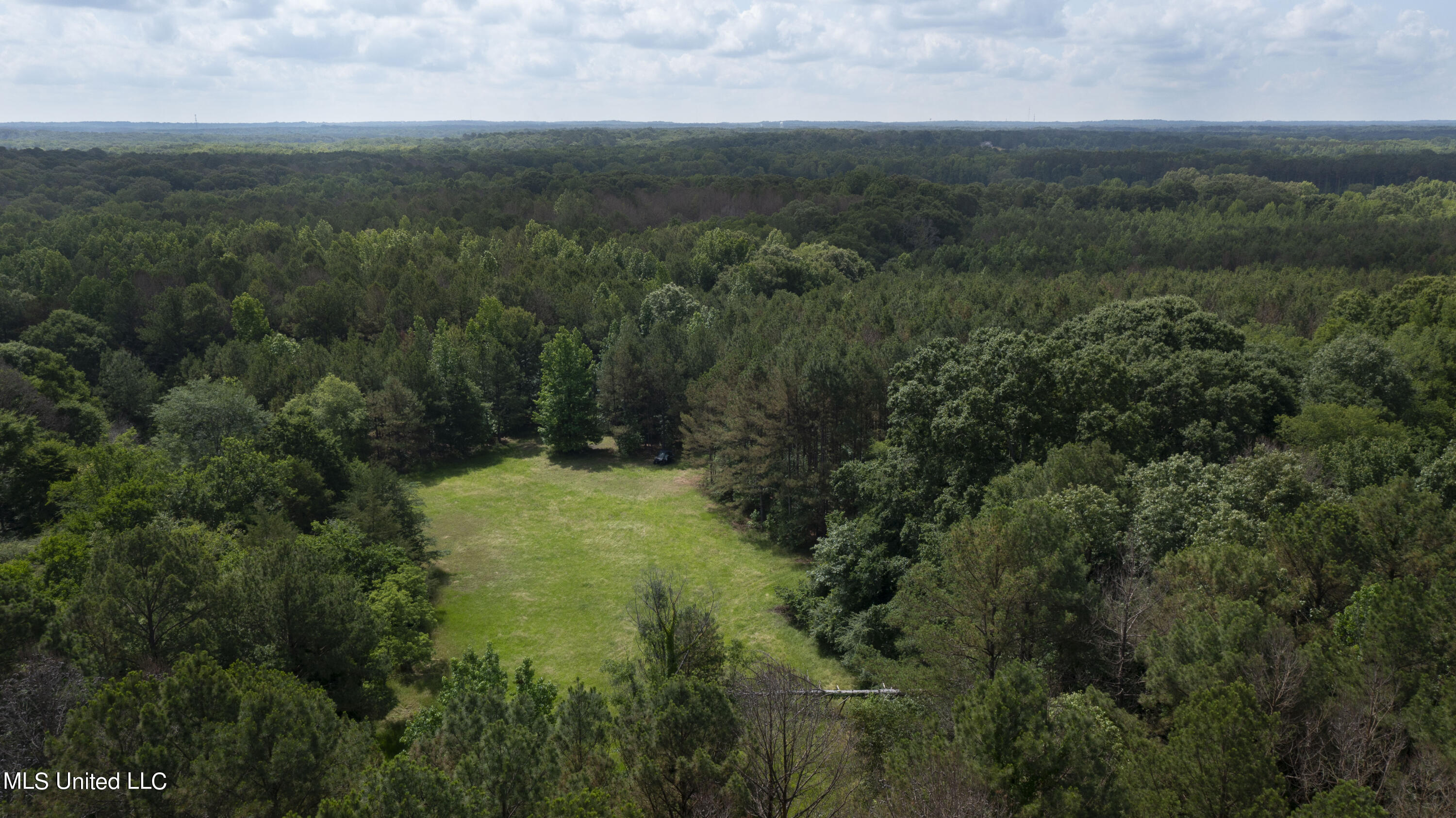 Spring Road Flora, MS 39071 - Photo 34 of 44 Spring Rd-33