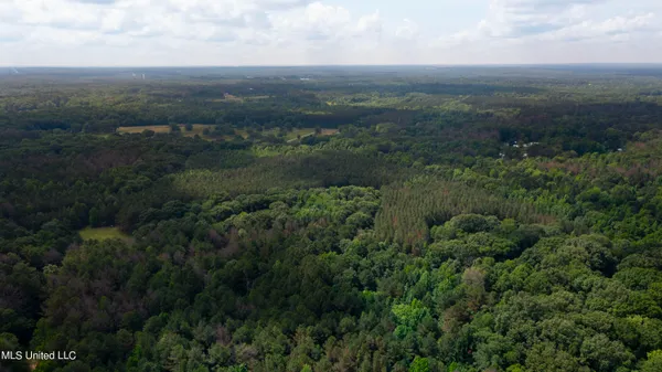 $1,210,000 | Spring Road, Flora, MS 39071