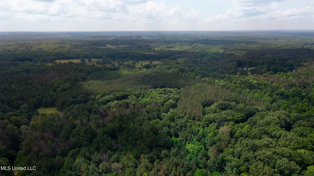 $1,210,000 | Spring Road, Flora, MS 39071