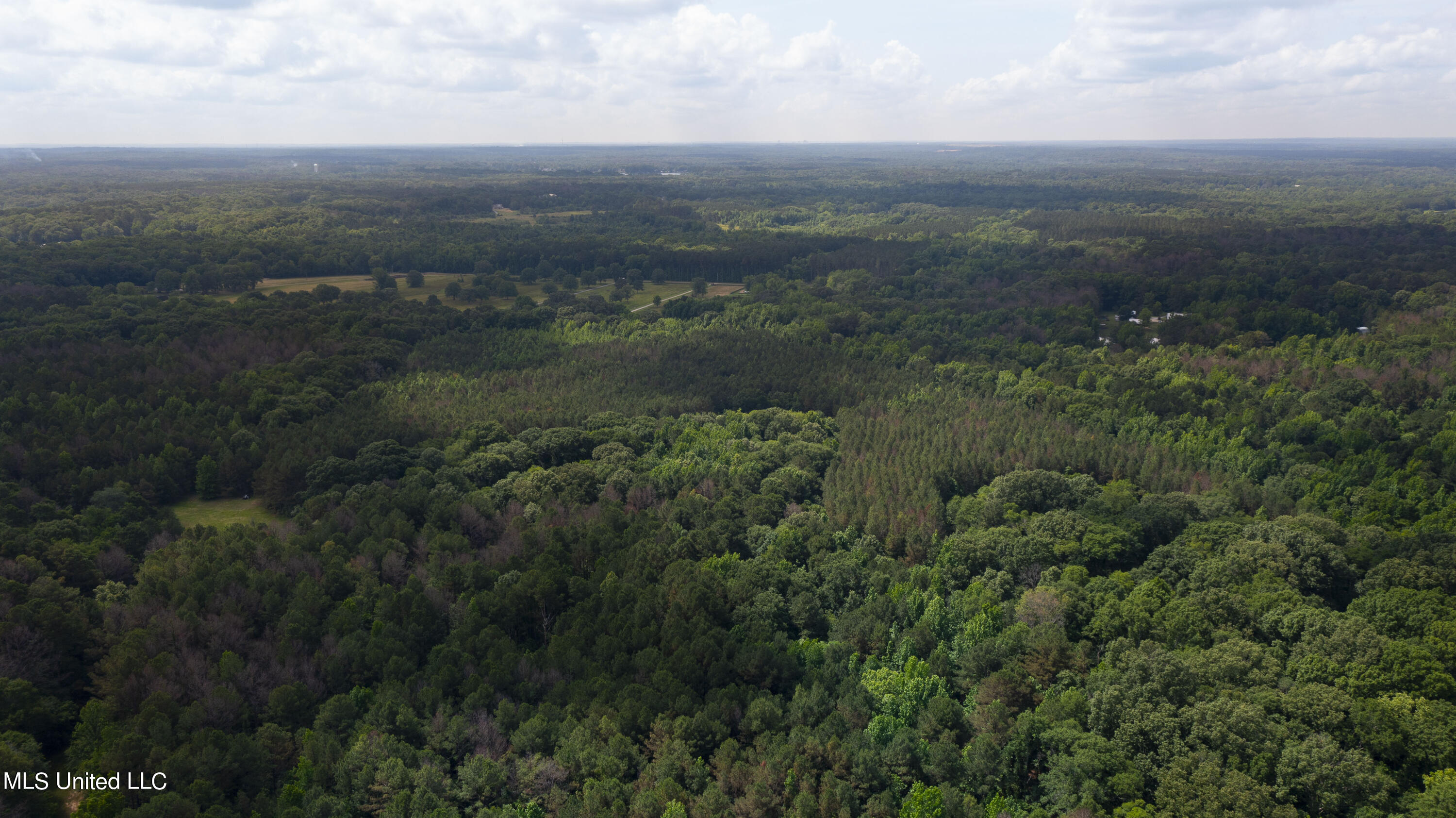 Spring Road Flora, MS 39071 - Photo 35 of 44 Spring Rd-34