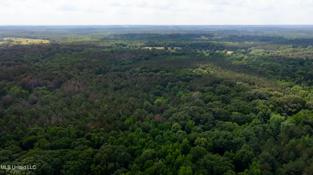 $1,210,000 | Spring Road, Flora, MS 39071