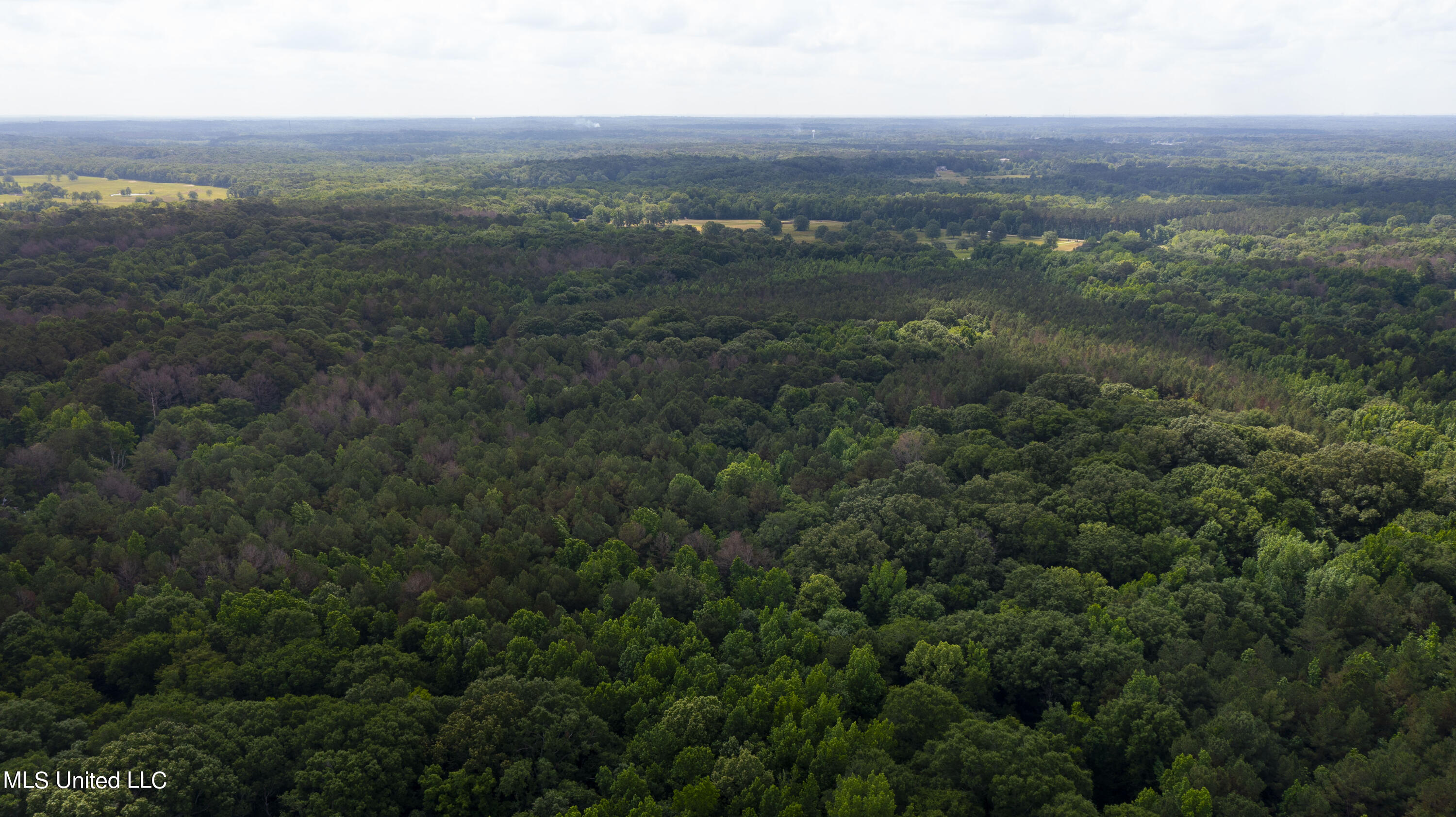 Spring Road Flora, MS 39071 - Photo 36 of 44 Spring Rd-35