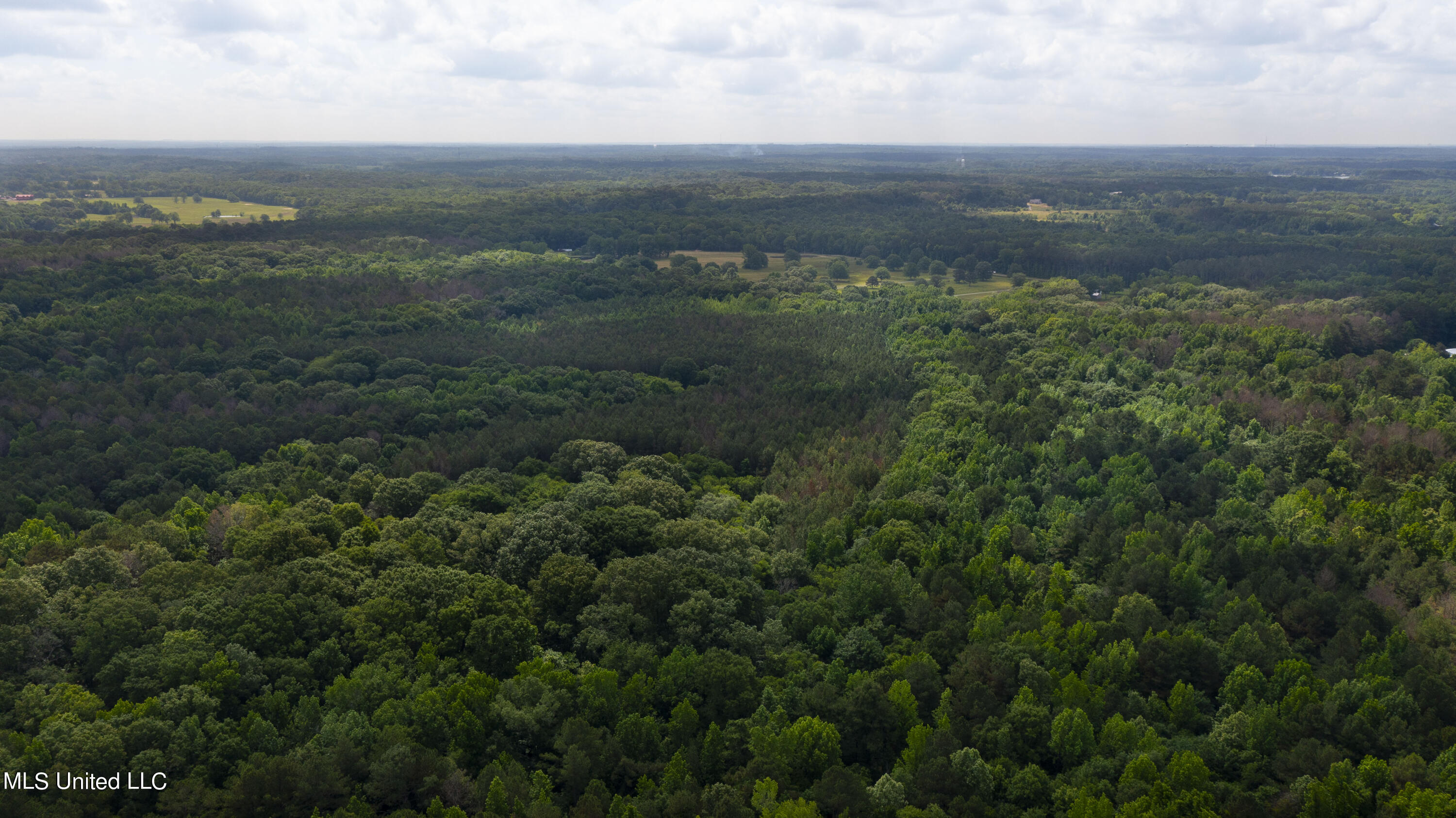 Spring Road Flora, MS 39071 - Photo 37 of 44 Spring Rd-36