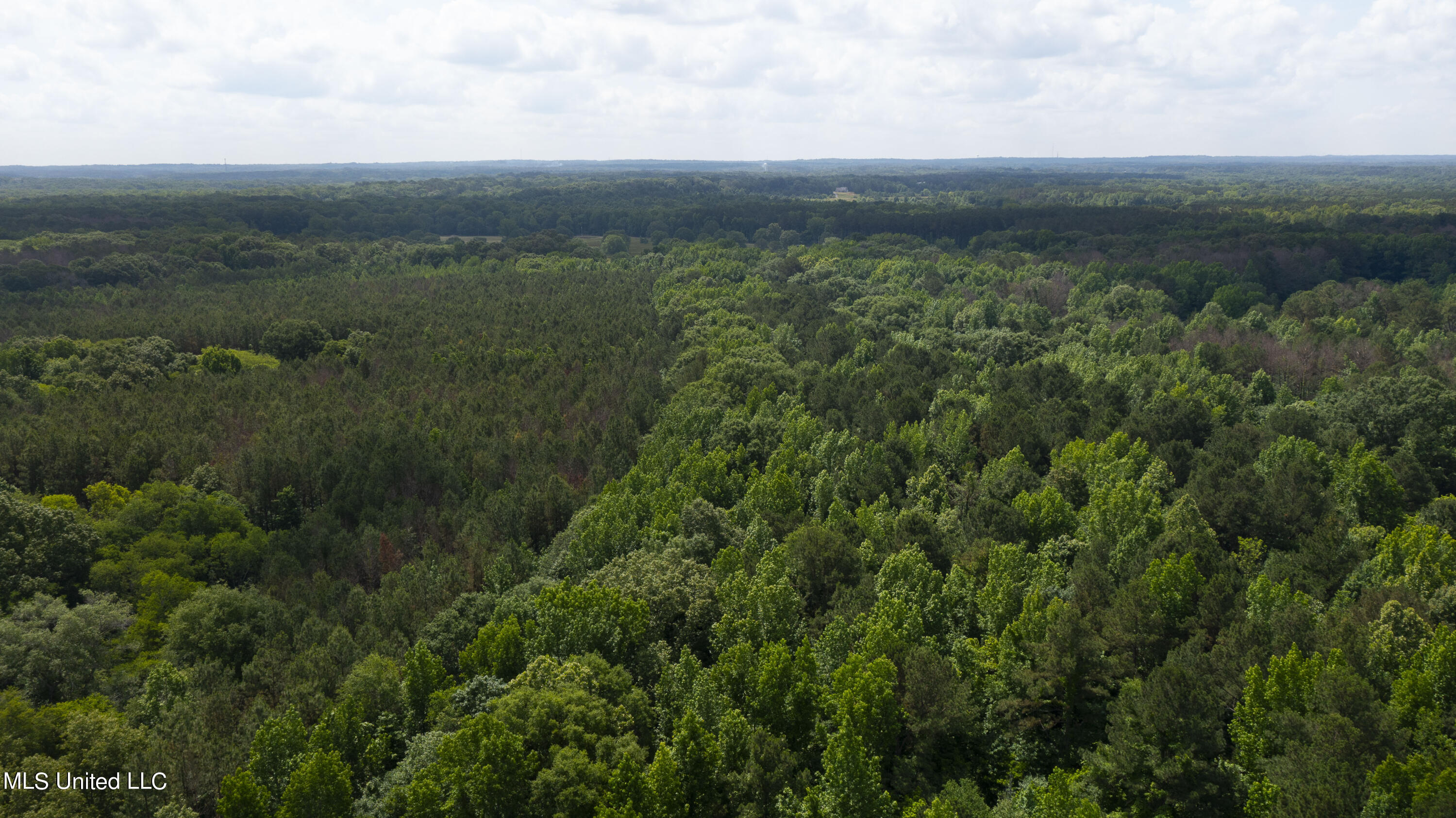 Spring Road Flora, MS 39071 - Photo 38 of 44 Spring Rd-37