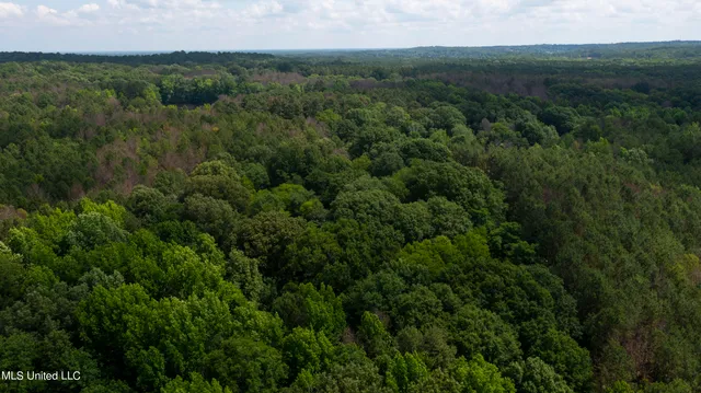 $1,210,000 | Spring Road, Flora, MS 39071