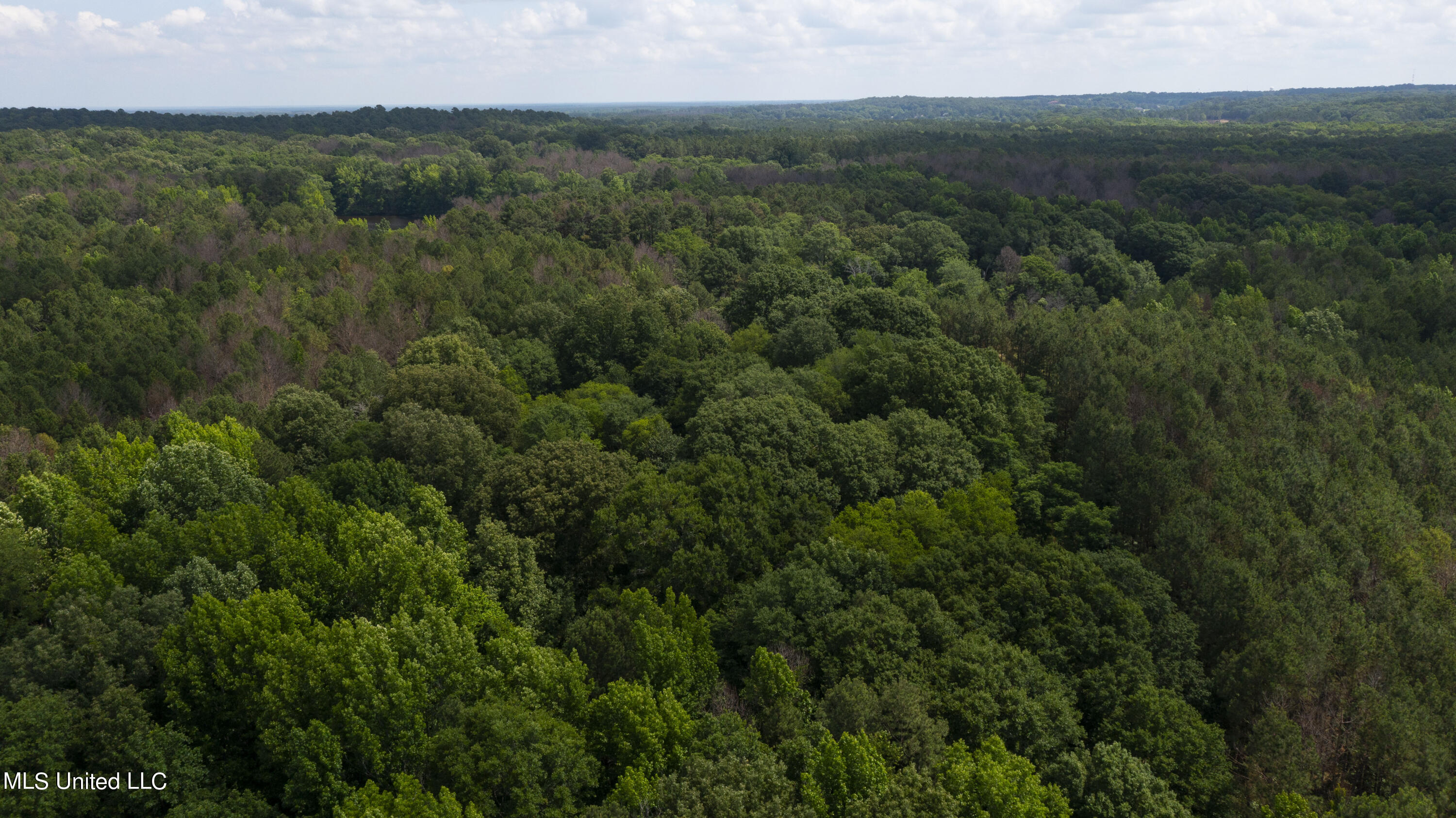 Spring Road Flora, MS 39071 - Photo 39 of 44 Spring Rd-38