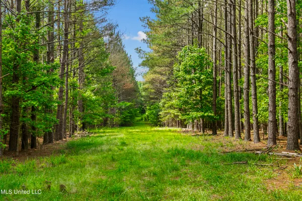 $1,210,000 | Spring Road, Flora, MS 39071