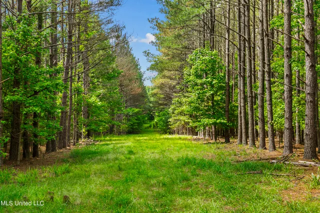 $1,210,000 | Spring Road, Flora, MS 39071