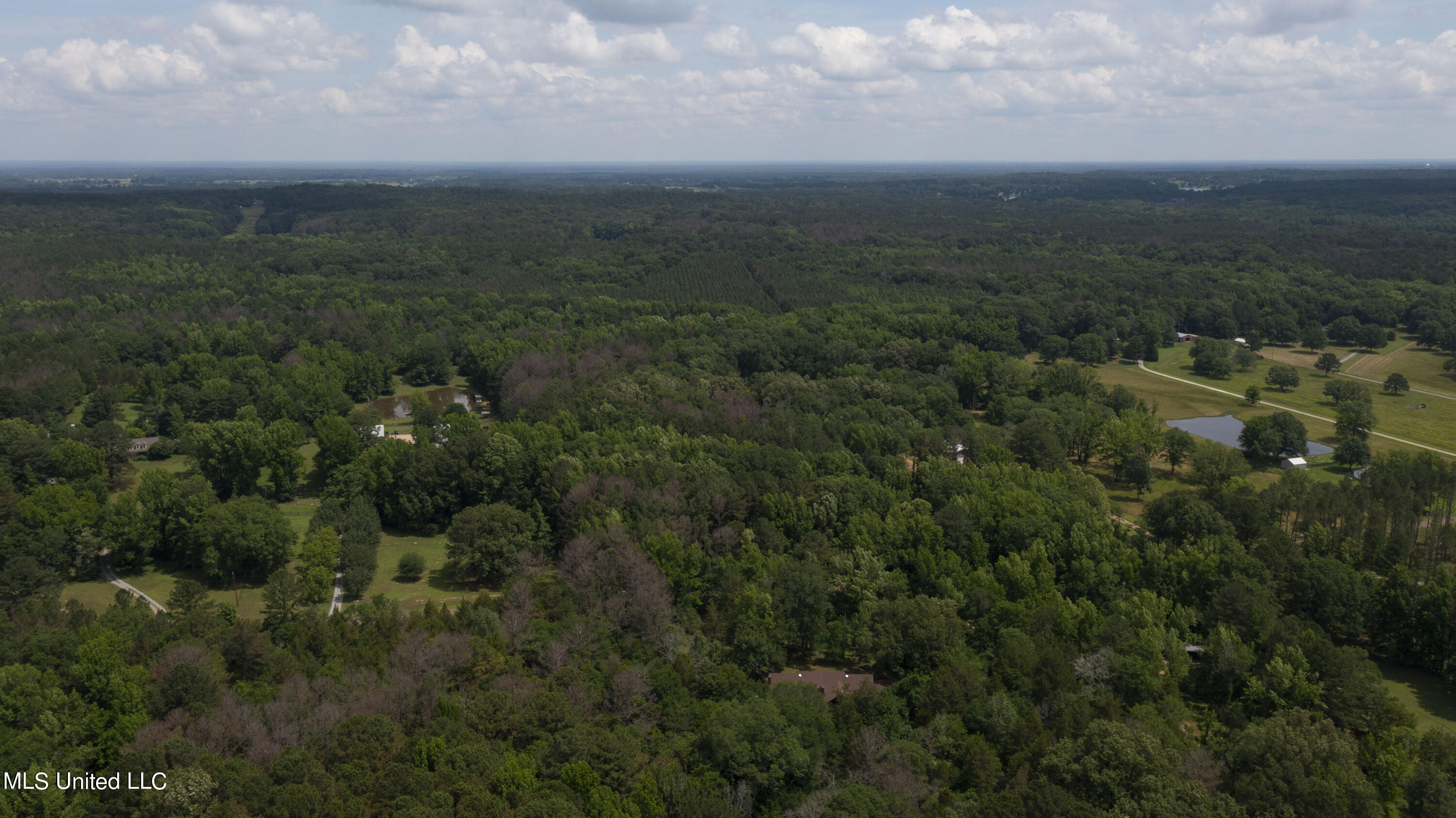 Spring Road Flora, MS 39071 - Photo 42 of 44 Spring Rd-41