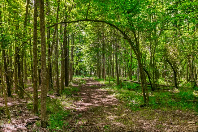 $1,210,000 | Spring Road, Flora, MS 39071