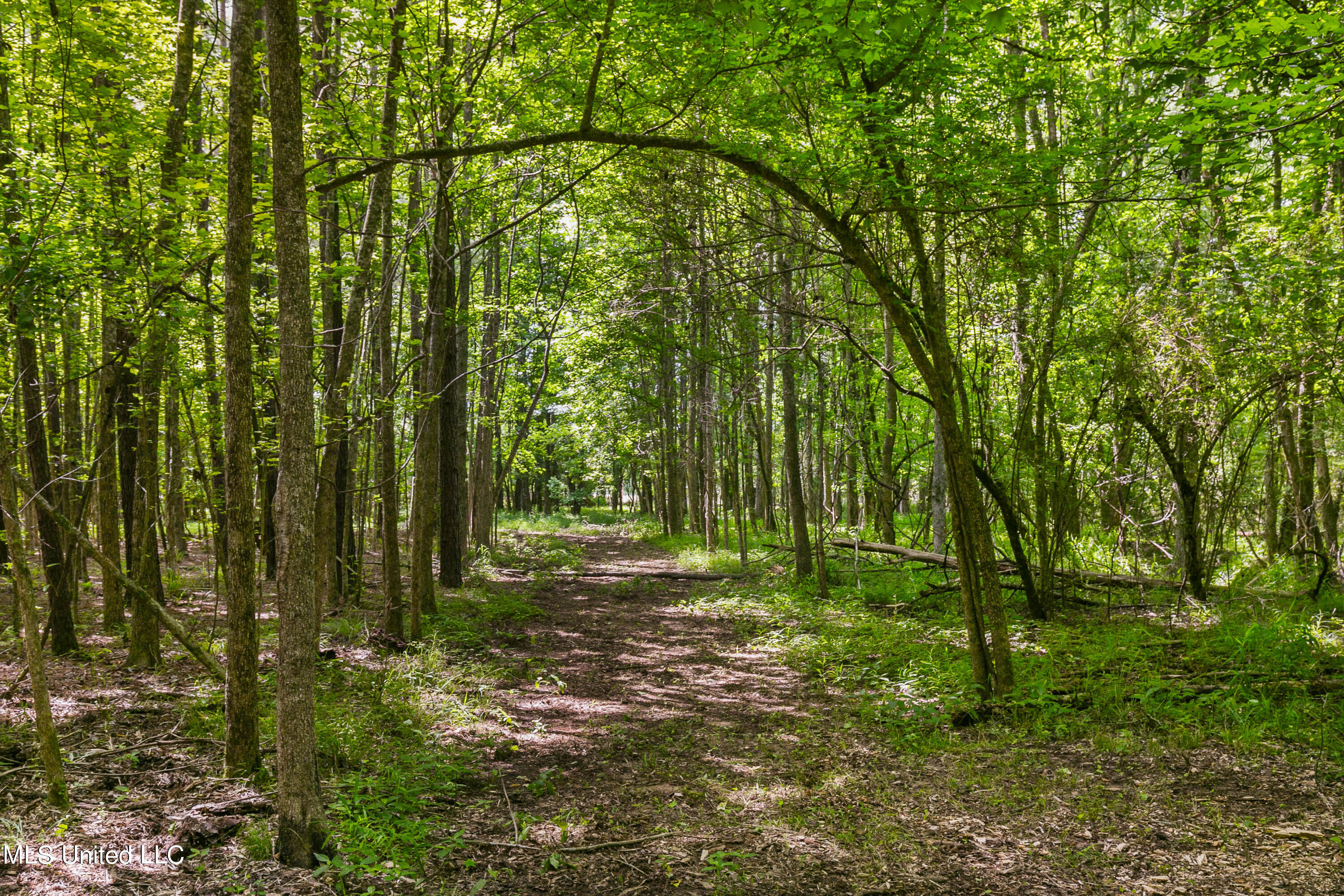 Spring Road Flora, MS 39071 - Photo 5 of 44 Spring Rd-4