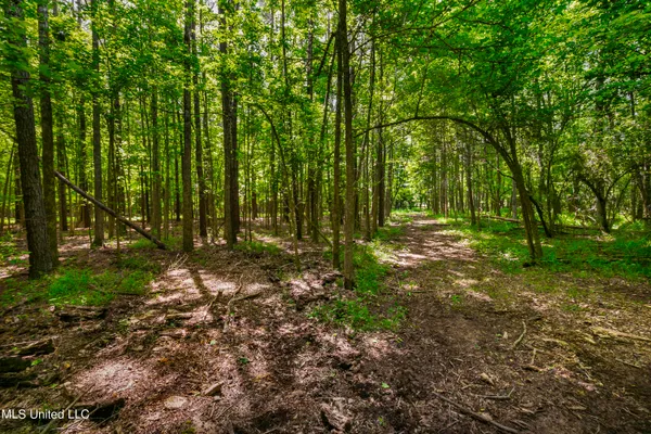 $1,210,000 | Spring Road, Flora, MS 39071