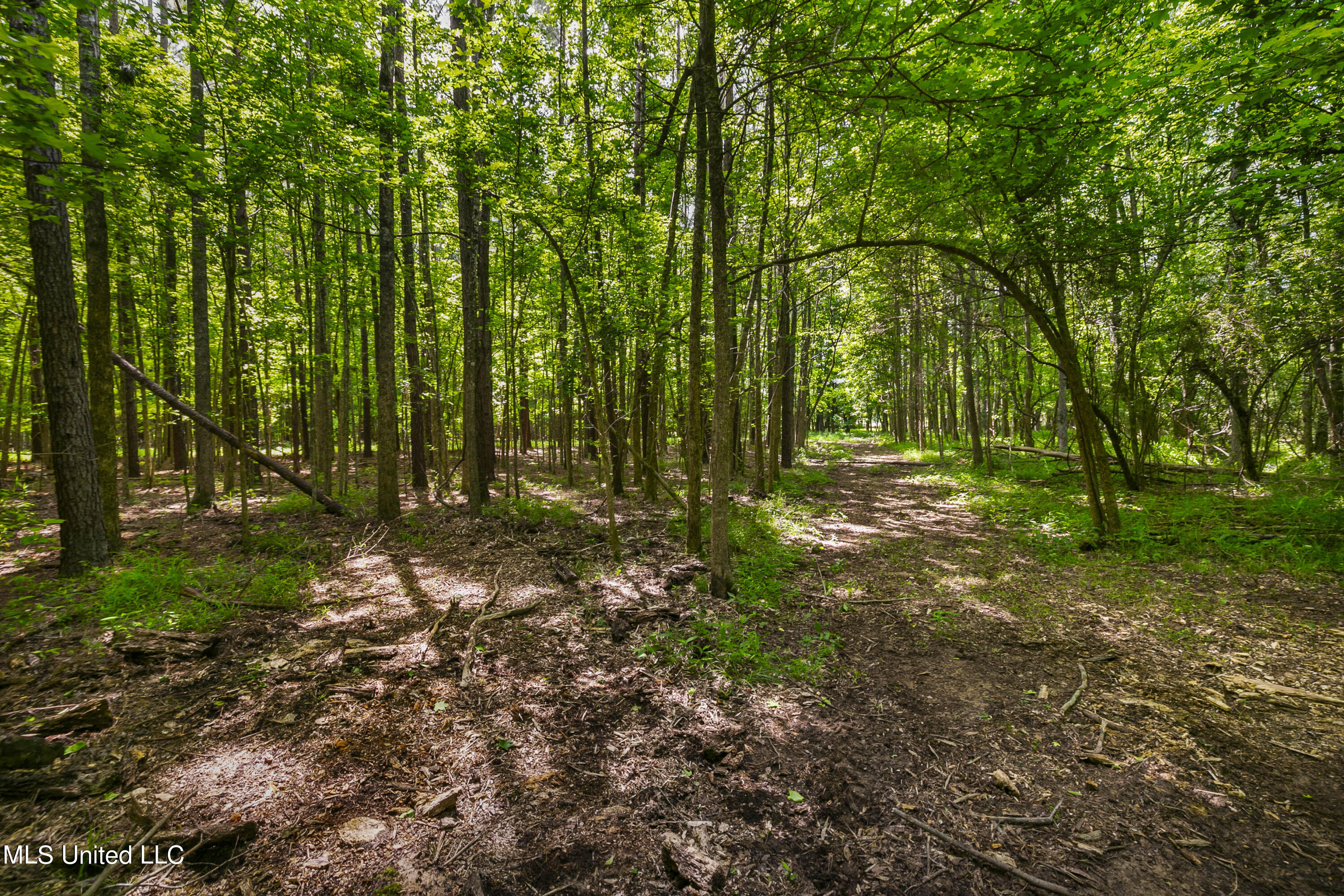 Spring Road Flora, MS 39071 - Photo 6 of 44 Spring Rd-5