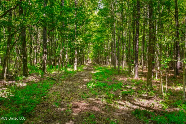 $1,210,000 | Spring Road, Flora, MS 39071