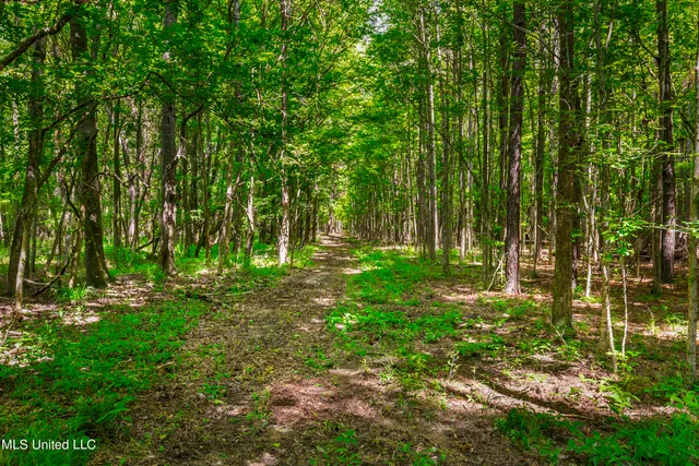 $1,210,000 | Spring Road, Flora, MS 39071