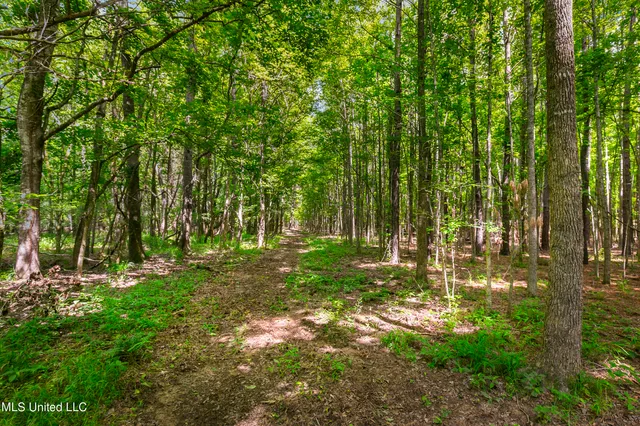 $1,210,000 | Spring Road, Flora, MS 39071