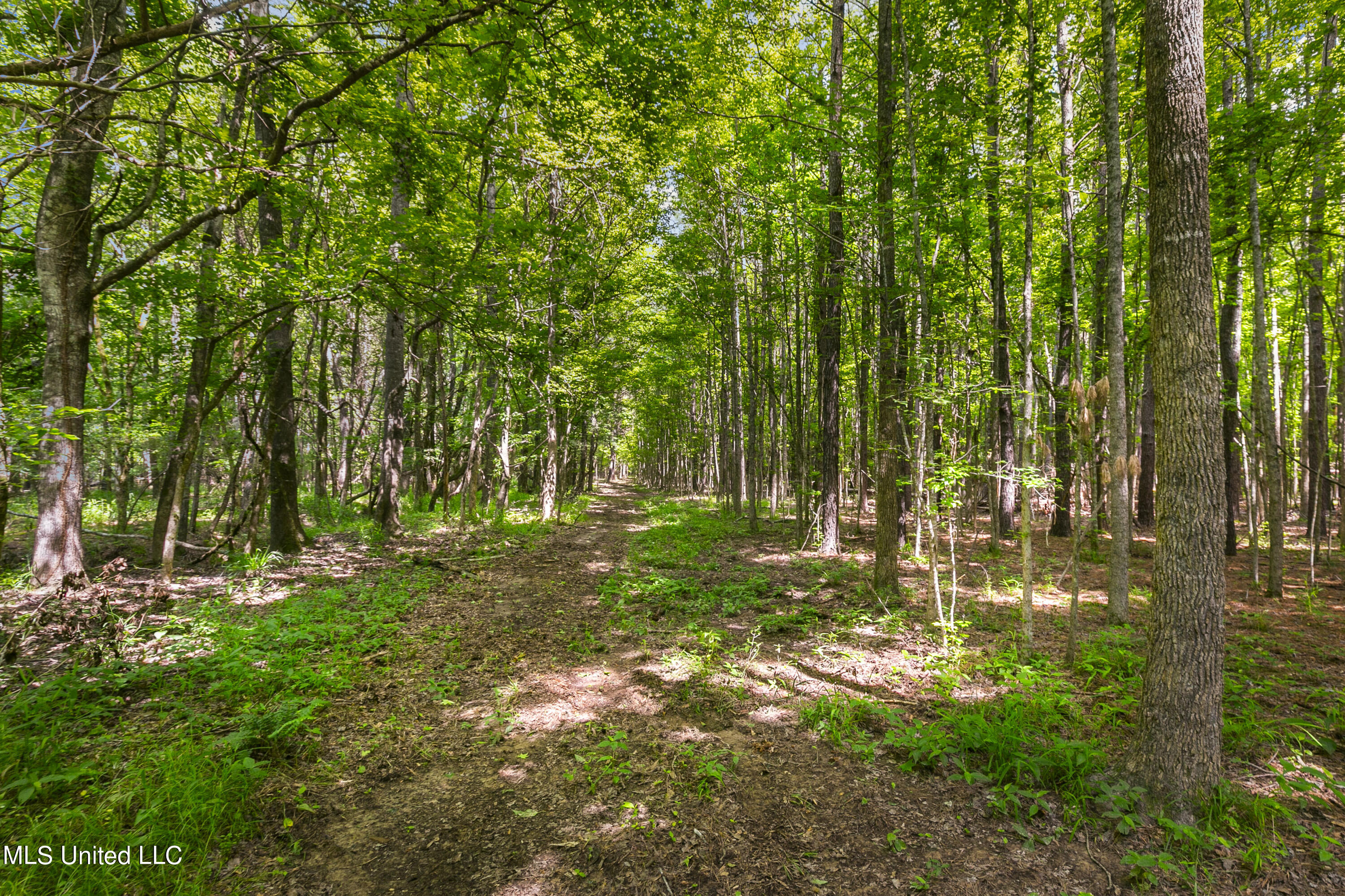 Spring Road Flora, MS 39071 - Photo 8 of 44 Spring Rd-7