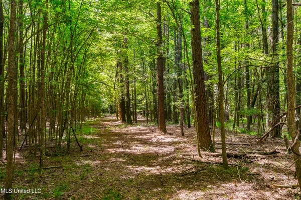 $1,210,000 | Spring Road, Flora, MS 39071