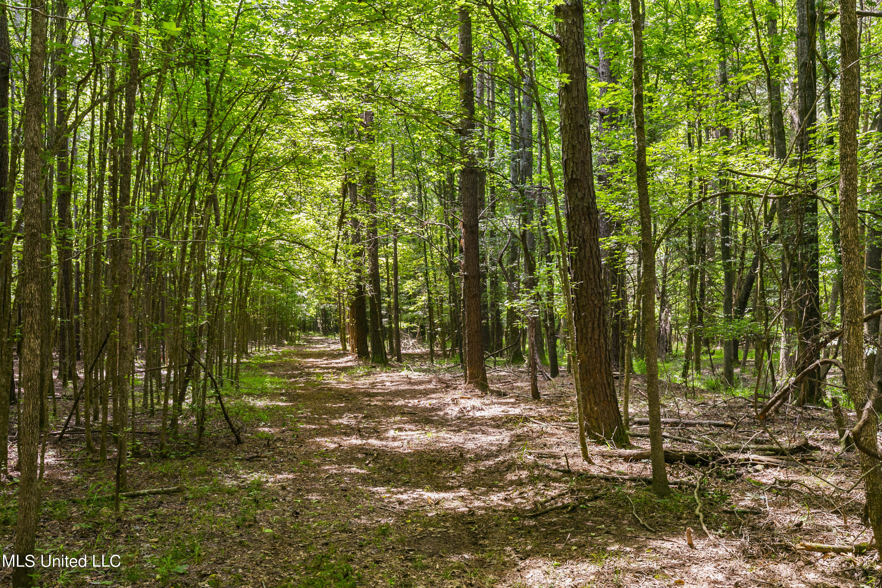 Spring Road Flora, MS 39071 - Photo 9 of 44 Spring Rd-8