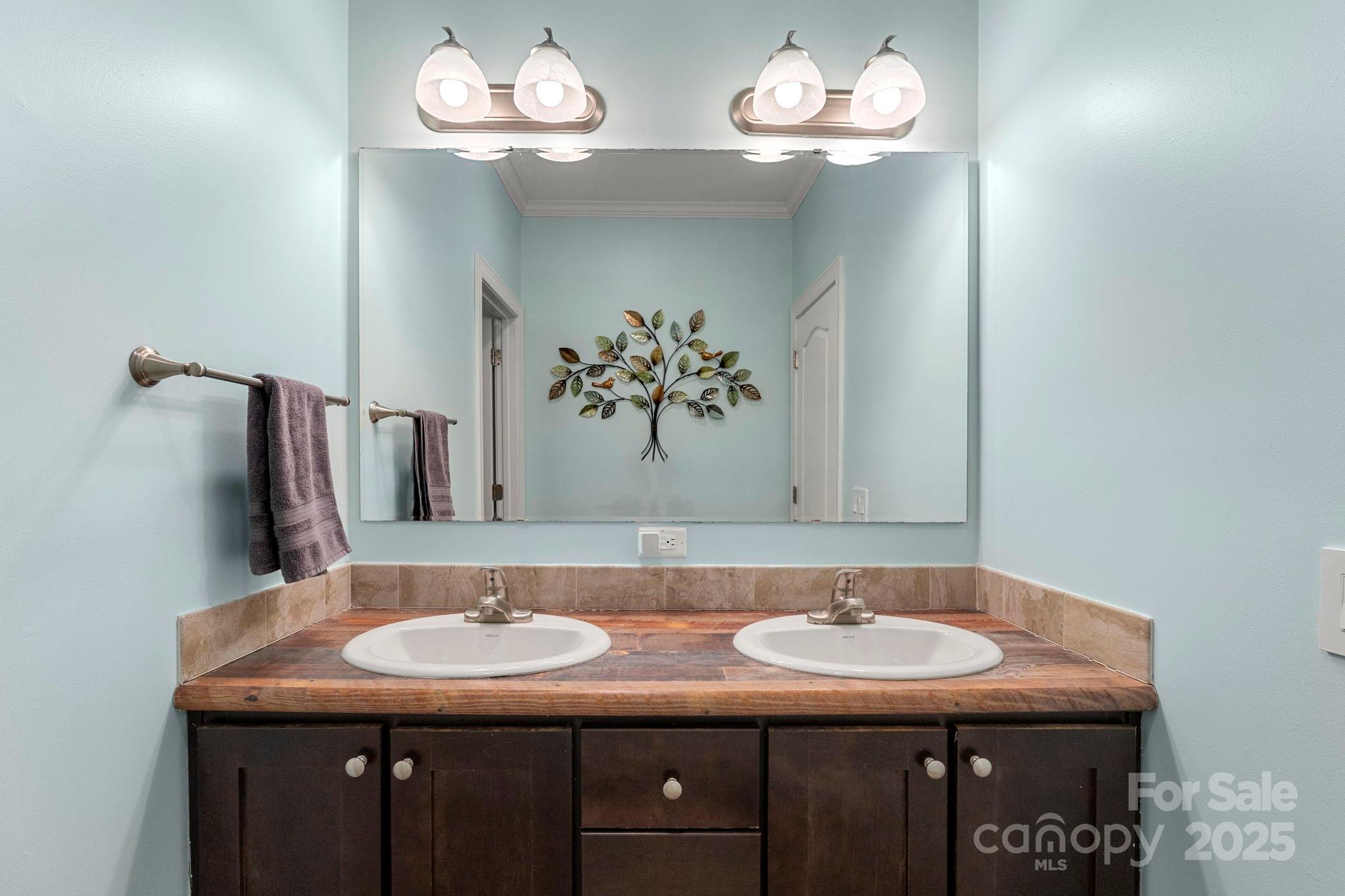 4290 Palmer Lloyd Road Lancaster, SC 29720 - Photo 36 of 48 a bathroom with a sink and a mirror