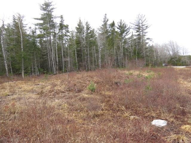 209 Bert Gray Road Sullivan, ME 04664 - Photo 23 of 34 Photo