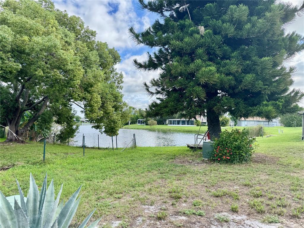 3049 Moog Road Holiday, FL 34691 - Photo 14 of 19 a view of a garden with a bench