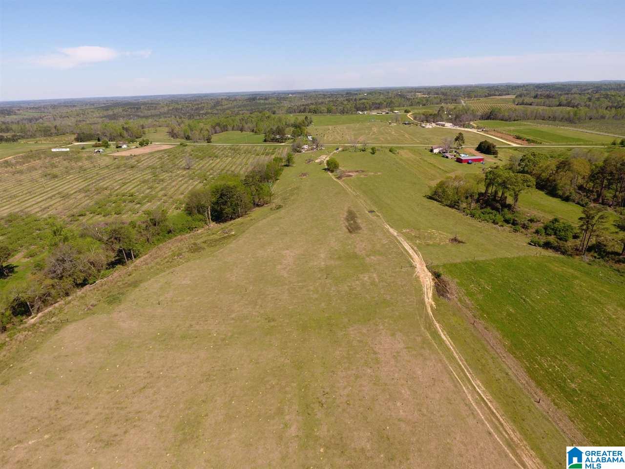 0 County Road 30, Unit 1 Clanton, AL 35045 - Photo 22 of 32