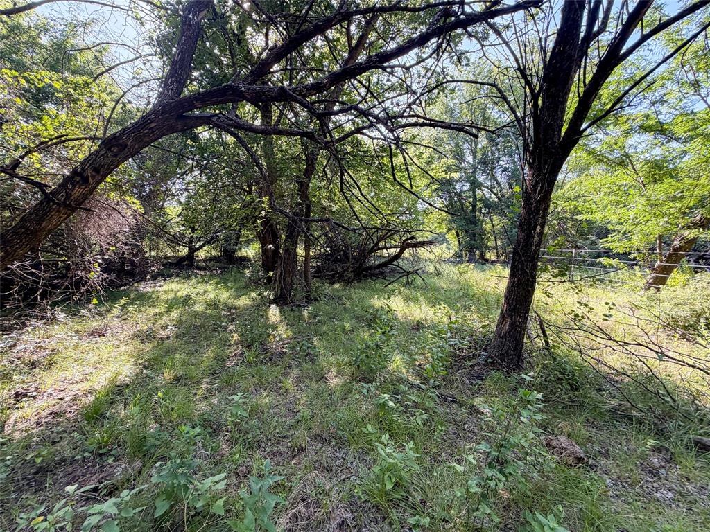 Tbd Carminati Road Montague, TX 76251 - Photo 29 of 32