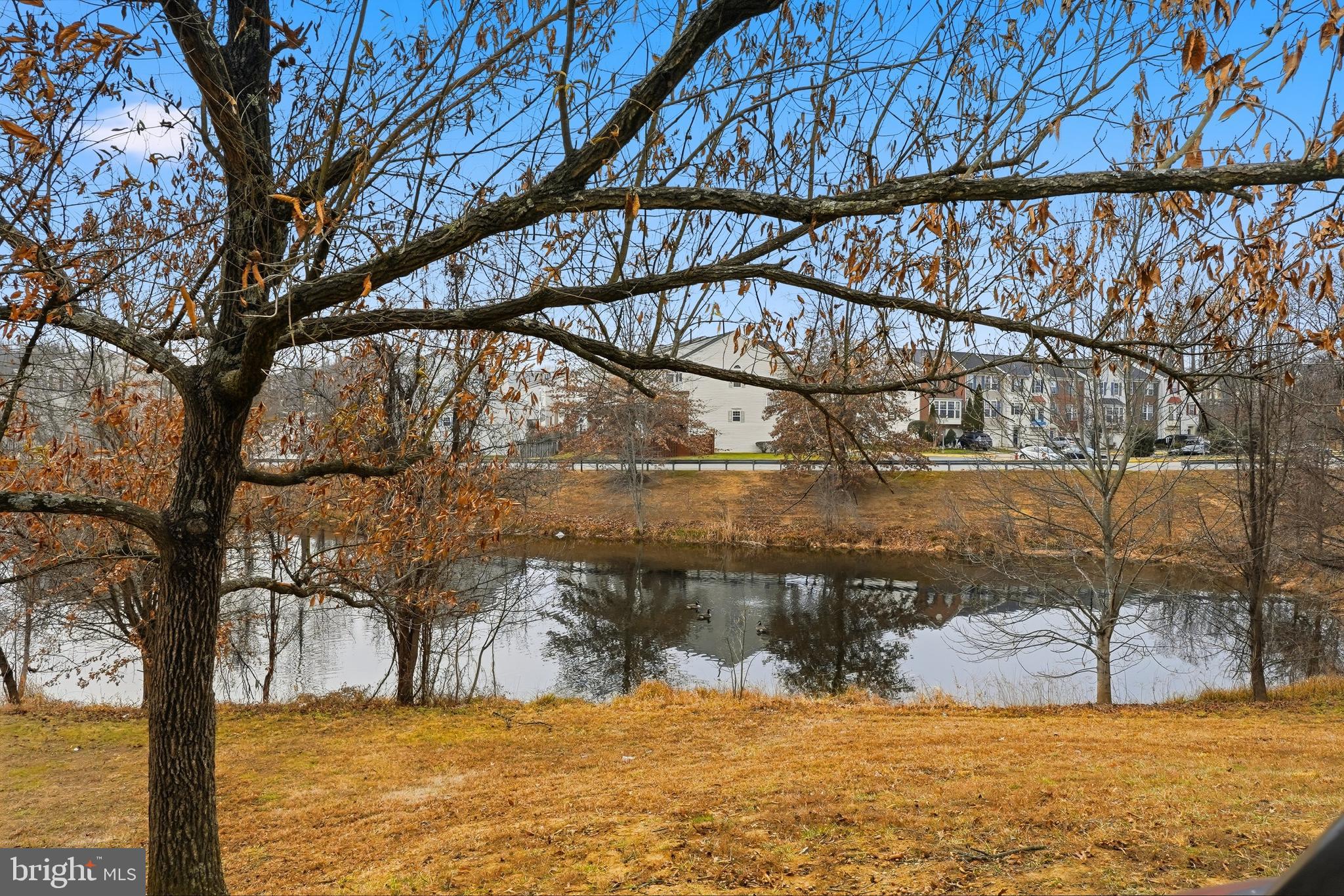 7858 Seafarer Way Lorton, VA 22079 - Photo 30 of 31 a view of swimming pool with a yard