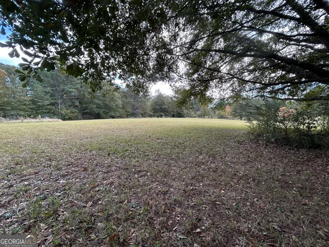a view of open area with green space