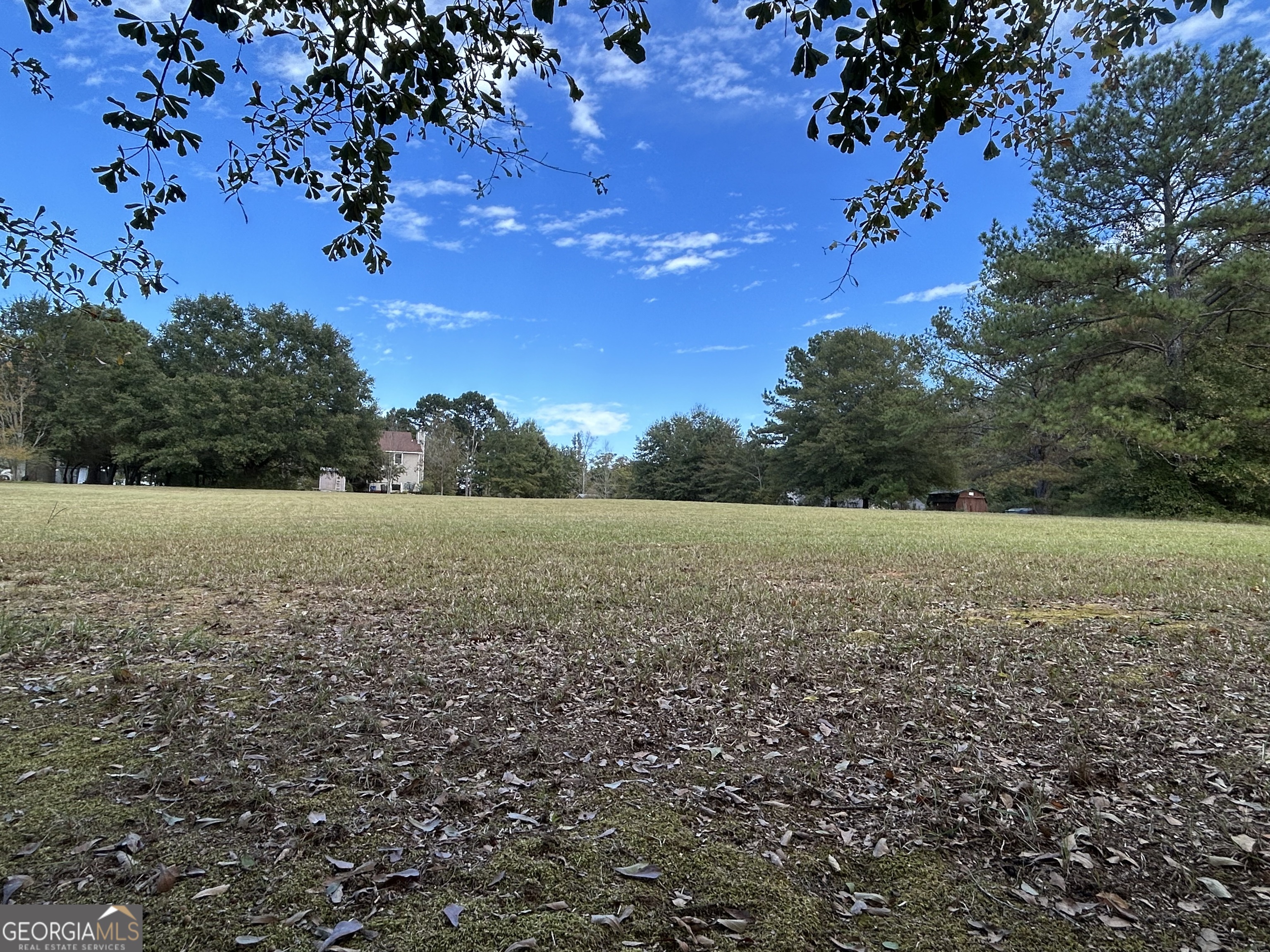 186 Old Chipley Road Pine Mountain, GA 31822 - Photo 56 of 61