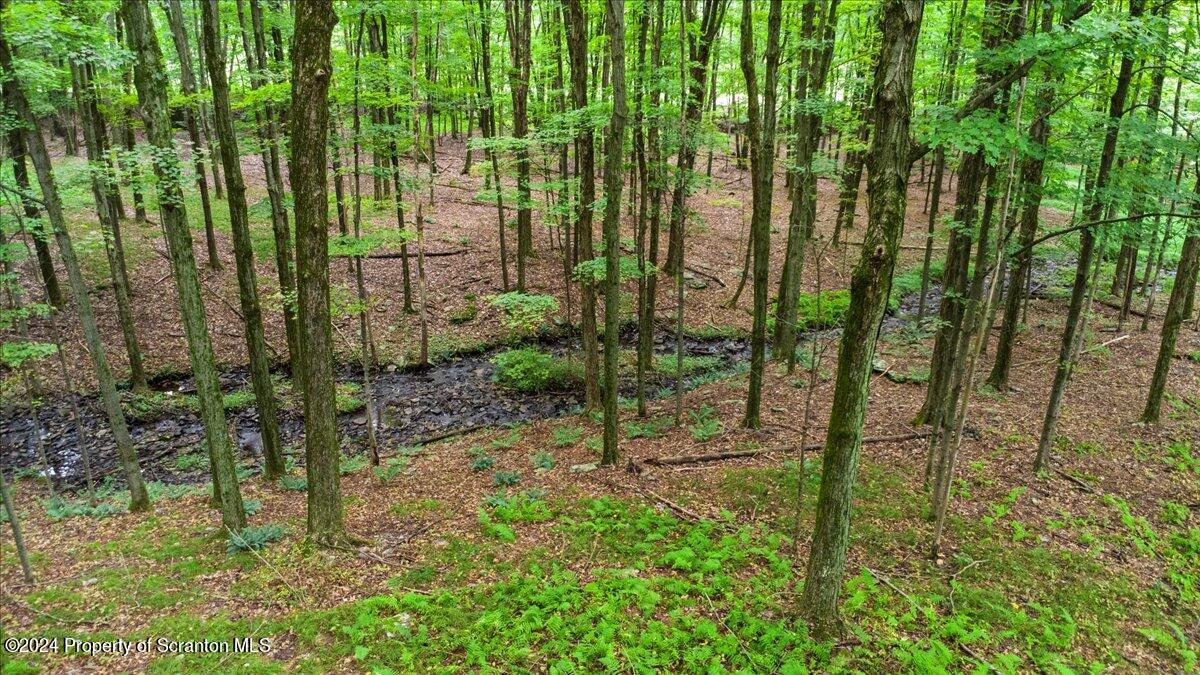 925 Apple Tree Road Pittston, PA 18643 - Photo 17 of 86 a view of outdoor space and garden