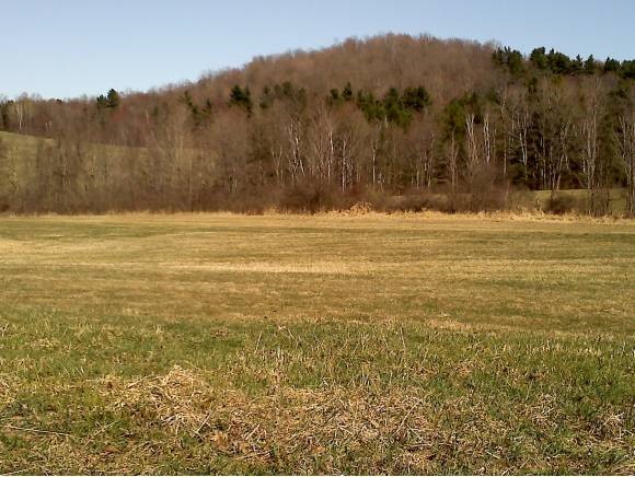 Raymond Hill Road Orwell, VT 05760 - Photo 1 of 1