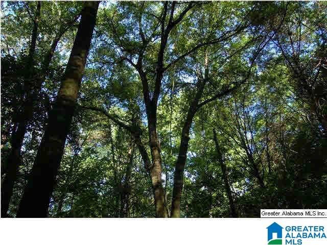 79 Northwest County Road, Unit 50 67 Prattville, AL 36067 - Photo 1 of 13