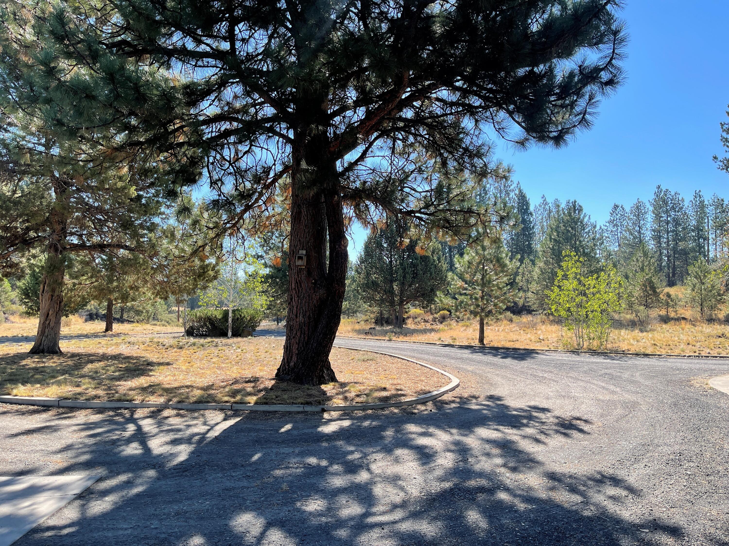 Driveway area