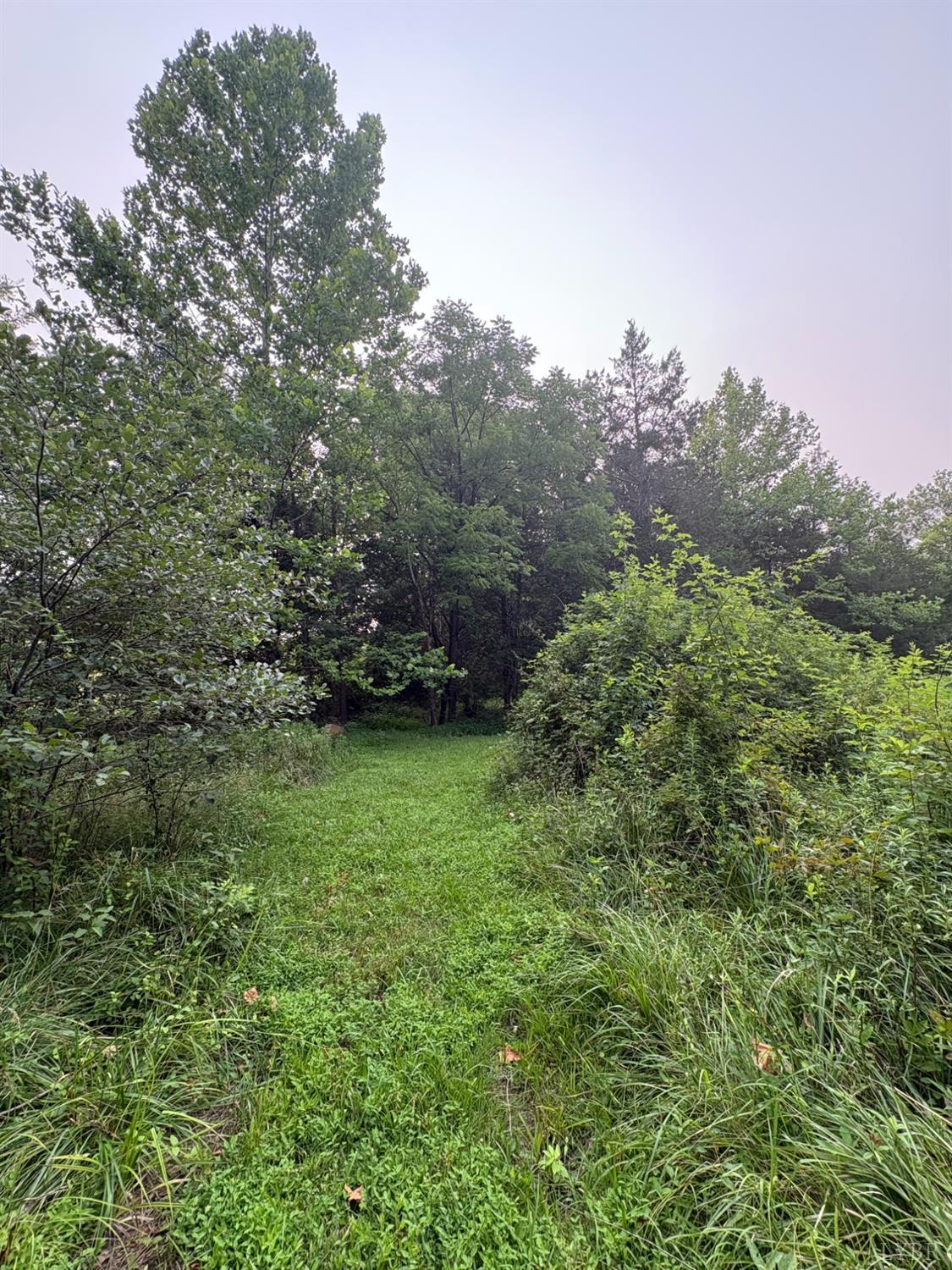 0 Two Two Bid Road Evington, VA 24550 - Photo 23 of 28 Mowed path